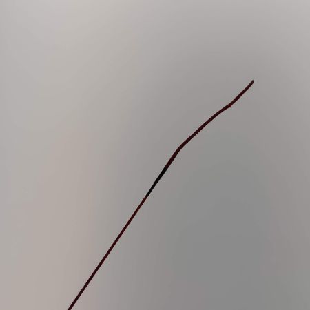  NISSIN 渓流竿　ROYAL STAGE 鼓 朱　 硬調　340 ROYAL STAGE