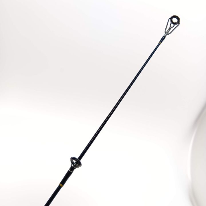 DAIWA ダイワ リバティーフォース AK-1002H アキアジ 01471992 本体  