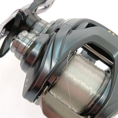  DAIWA ダイワ スティーズ A TW 1016XHL 左巻き 00613377
