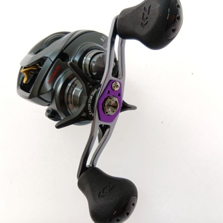  DAIWA ダイワ スティーズ A TW 1016XHL 左巻き 00613377