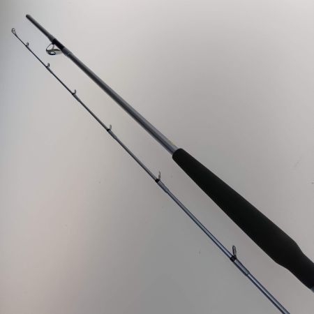  DAIWA ダイワ HZ剣崎 30号-230Ｖ 05279312