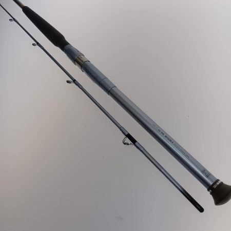  DAIWA ダイワ HZ剣崎 30号-230Ｖ 05279312