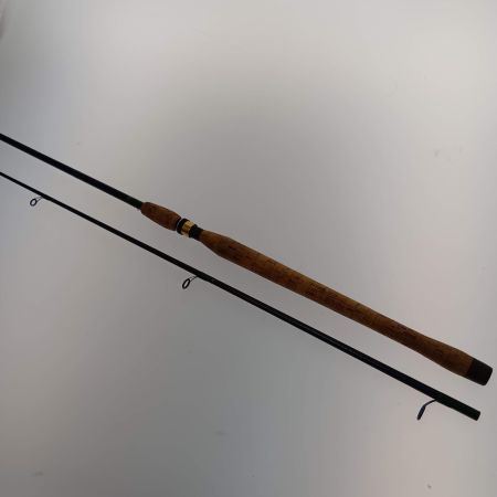  fenwick イーグルグラファイト E95SB-2