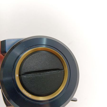  DAIWA ダイワ 21SALTIGA(ソルティガ) IC 100 右巻き 00631502