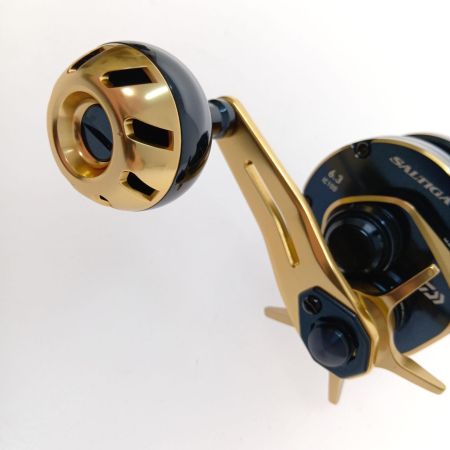  DAIWA ダイワ 21SALTIGA(ソルティガ) IC 100 右巻き 00631502