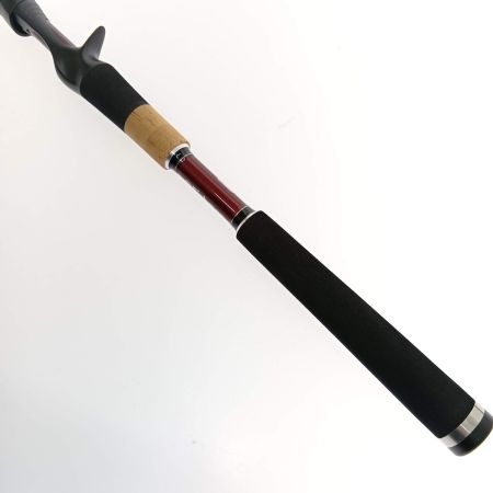  Fishman フィッシュマン Beams Xpan7.10LHTS