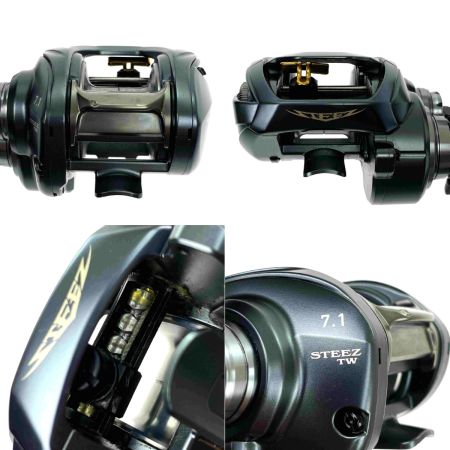  DAIWA ダイワ スティーズ A TW 1016SHL 00613375 左巻き