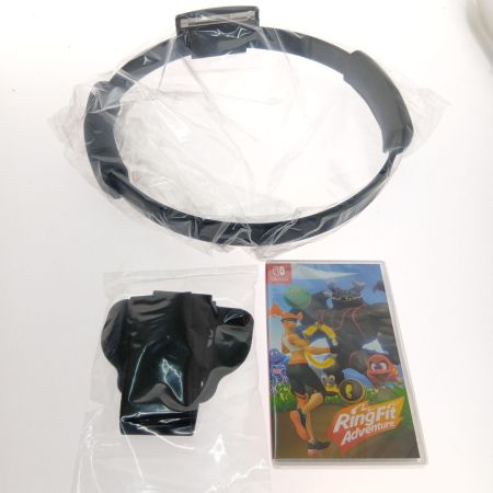  Nintendo ニンテンドウ リングフィット アドベンチャー ソフト　付属品付き