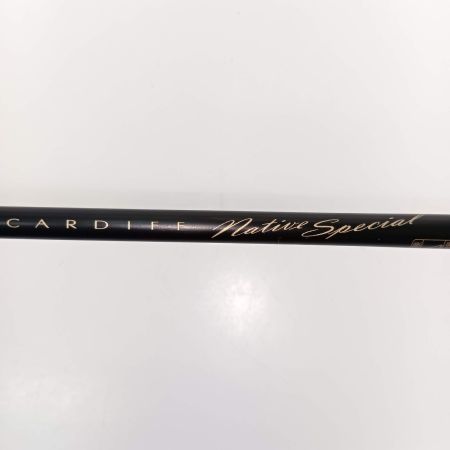  SHIMANO シマノ カーディフ ネイティブスペシャル (NATIVE SPECIAL) B47UL-3 39553