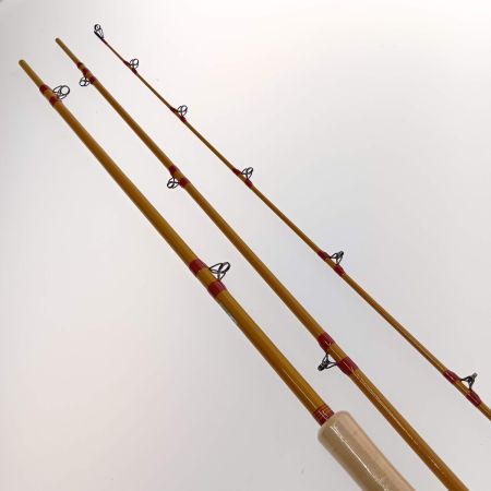  fenwick　フェンウィック レイクトローリングロッド FS100C　M-3J 10’0”