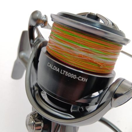 DAIWA ダイワ 25カルディア LT5000-CXH 00060414