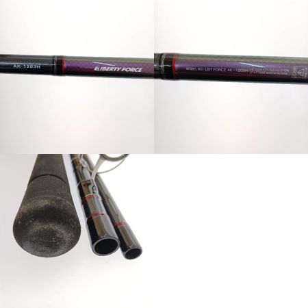  DAIWA ダイワ リバティフォース アキアジ AK-1203H 01471996 本体のみ