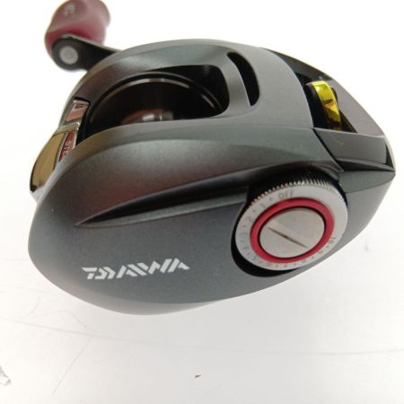  DAIWA ダイワ STEEZ(スティーズ) 100SHL　カスタムハンドル steez 100SHL