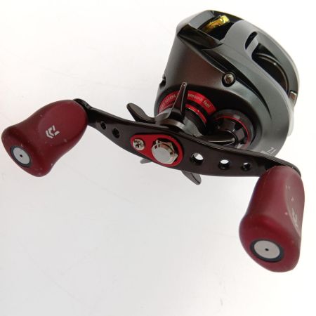  DAIWA ダイワ STEEZ(スティーズ) 100SHL　カスタムハンドル steez 100SHL