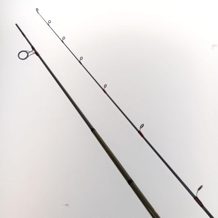  SAURUS ザウルス トラウトスピン ボロン  TS86HS