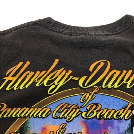  HARLEY-DAVIDSON ハーレーダビッドソン Tシャツ SIZE M 古着 2010年製 ブラック