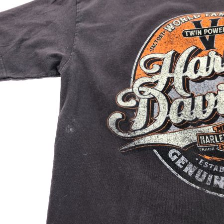  HARLEY-DAVIDSON ハーレーダビッドソン Tシャツ SIZE M 古着 2010年製 ブラック