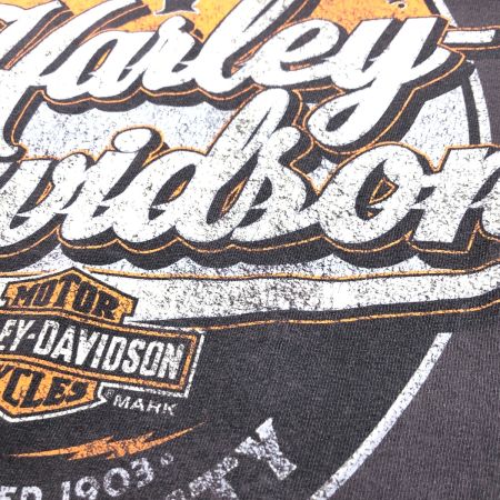  HARLEY-DAVIDSON ハーレーダビッドソン Tシャツ SIZE M 古着 2010年製 ブラック