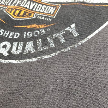  HARLEY-DAVIDSON ハーレーダビッドソン Tシャツ SIZE M 古着 2010年製 ブラック
