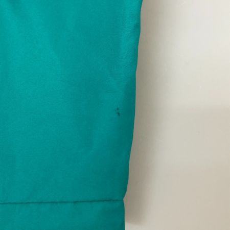  THE NORTH FACE ザノースフェイス ジャケット マウンテンジャケット RETRO MOUNTAIN LIGHT FUTURELIGHT JACKET  NF0A4R52 グリーン