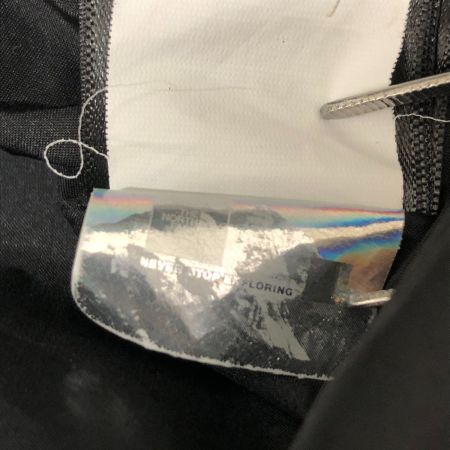  THE NORTH FACE ザノースフェイス ジャケット マウンテンジャケット RETRO MOUNTAIN LIGHT FUTURELIGHT JACKET  NF0A4R52 グリーン