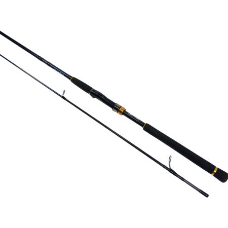  DAIWA ダイワ ロッド　MORETHAN(モアザン) AGS 109MML 01474020
