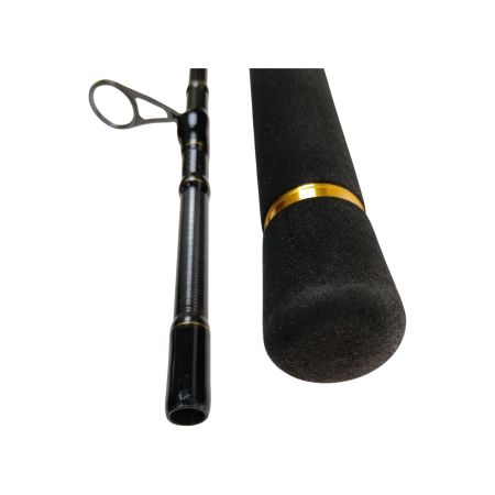  DAIWA ダイワ ロッド　MORETHAN(モアザン) AGS 109MML 01474020