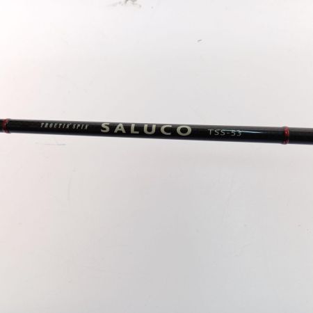  SMITH LTD スミス(釣具) トラウティンスピン サルコ TSS-53