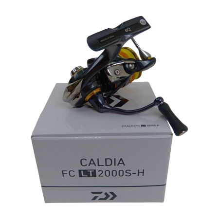  DAIWA ダイワ 21 カルディア FC LT2000S-H 00060283