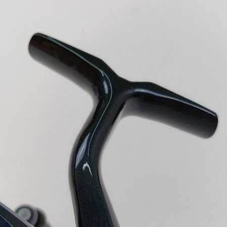  DAIWA ダイワ 21 カルディア FC LT2000S-H 00060283