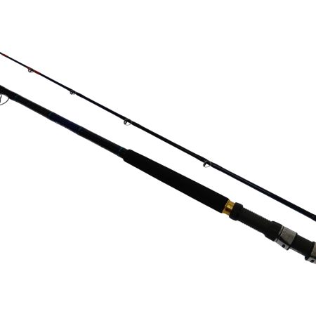  DAIWA ダイワ ディープゾーンＸ 150-240 05500166