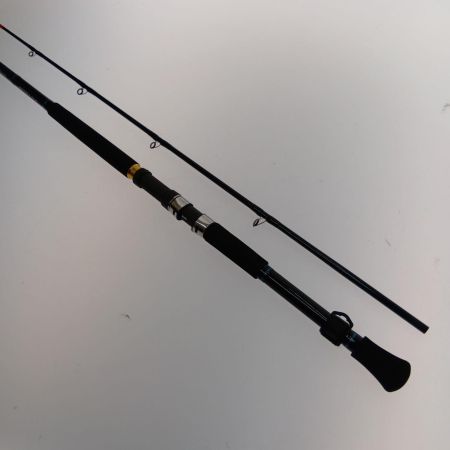  DAIWA ダイワ ディープゾーンＸ 150-240 05500166