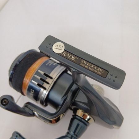  SHIMANO シマノ 20 ストラディック SW 6000HG 04246