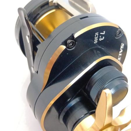 DAIWA ダイワ 21ソルティガIC300H-SJ 3034725