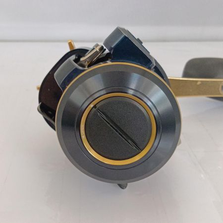  DAIWA ダイワ 21ソルティガIC300H-SJ 3034725