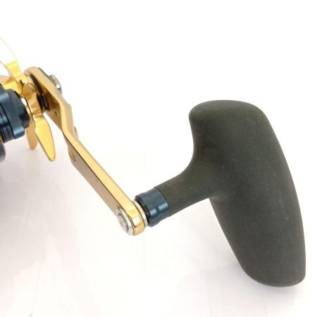  DAIWA ダイワ 21ソルティガIC300H-SJ 3034725