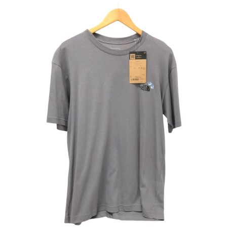  THE NORTH FACE ザノースフェイス Tシャツ SIZE L  NT32546 グレー