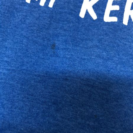  90s FRUT OF THE LOOM Tシャツ 古着 キッズサイズ(14~16歳) ブルー