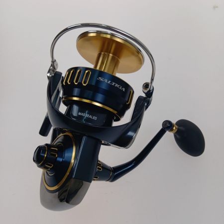  DAIWA ダイワ 25ソルティガ30000-P 00065090