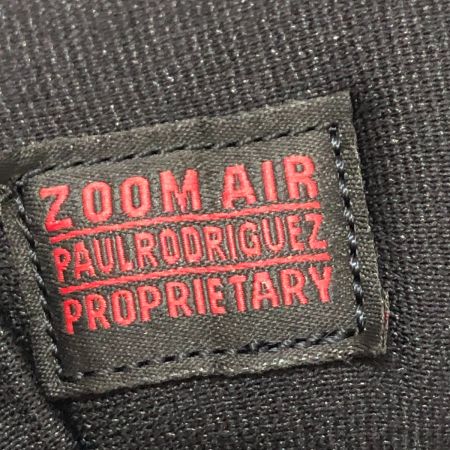  NIKE ナイキ スニーカー NIKE SB (ナイキエスビー) PAUL RODRIGUEZ ZOOM AIR LOW ポールロドリゲス ズームエア ローカットスニーカー SIZE 28cm IM7147-001 ブラック