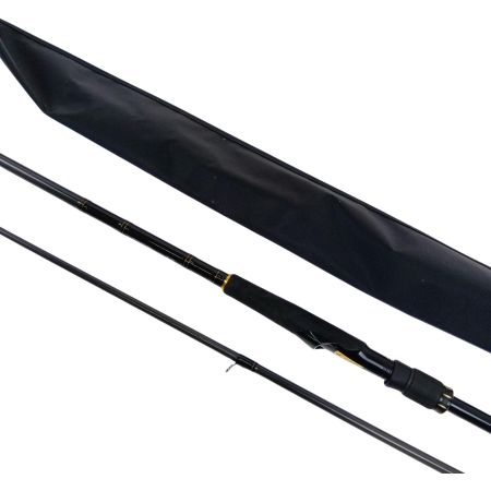  DAIWA ダイワ ロッド　ラテオ100M.R 05800038
