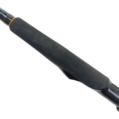  DAIWA ダイワ ロッド　ラテオ100M.R 05800038