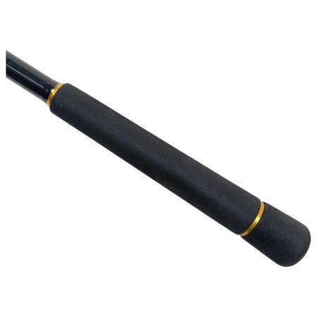  DAIWA ダイワ ロッド　ラテオ100M.R 05800038