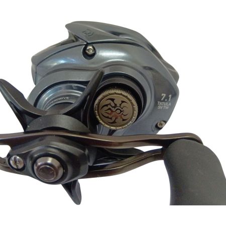  DAIWA ダイワ リール　25タトゥーラ SV TW 100HL（左ハンドル） 00630154