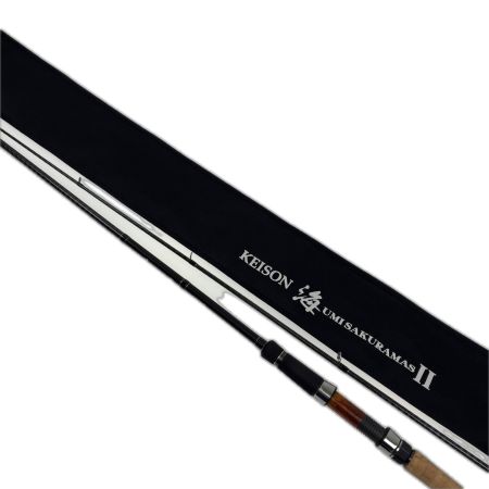  tailwalk テイルウォーク ロッド　ケイソン海サクラマスⅡS96ML 17315