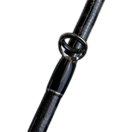 tailwalk テイルウォーク ロッド　ケイソン海サクラマスⅡS96ML 17315