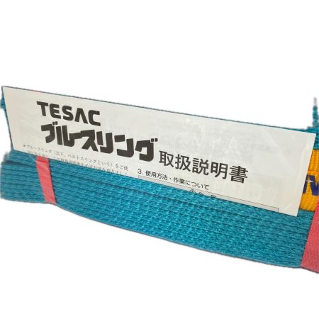 TESAC  工具　ブルースリンング　IVE75ｍｍ