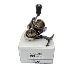 □□ DAIWA ダイワ リール　21カルディア LT2500 Bランク