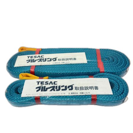  tesac ブルースリング　IVE25ｍｍ　2.0ｍ　4.0ｍ　2本セット