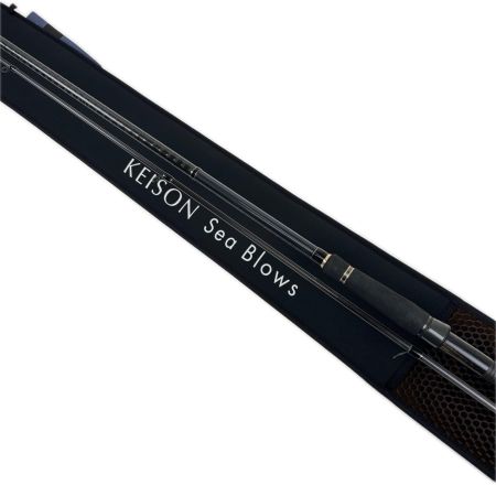 tailwalk テイルウォーク ロッド　KEISON Sea Blows　S108M/MH 174199